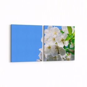 Olla 10906K2Y Ağaç Görseli Kare 2 Parça Yatay 65x30 cm Kanvas Tablo