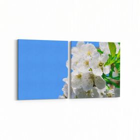 Olla 10906K2Y Ağaç Görseli Kare 2 Parça Yatay 65x30 cm Kanvas Tablo