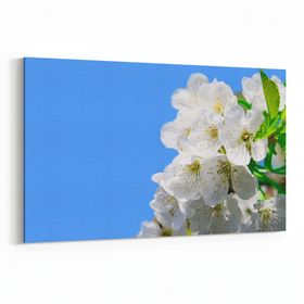 Olla 10906Y Ağaç Görseli Yatay 30x20 cm Kanvas Tablo
