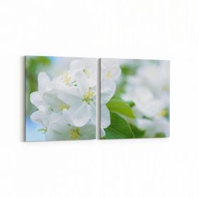 Olla 10915K2Y Ağaç Görseli Kare 2 Parça Yatay 65x30 cm Kanvas Tablo