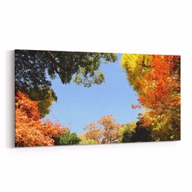 Olla 10923YD Ağaç Görseli Yatay Dar 60x30 cm Kanvas Tablo