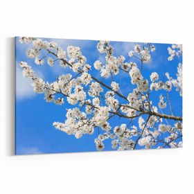 Olla 10926Y Ağaç Görseli Yatay 30x20 cm Kanvas Tablo