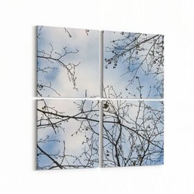 Olla 10927K4 Ağaç Görseli Kare 4 Parça 65x65 cm Kanvas Tablo