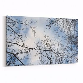 Olla 10927Y Ağaç Görseli Yatay 30x20 cm Kanvas Tablo