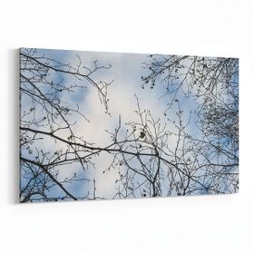 Olla 10927Y Ağaç Görseli Yatay 30x20 cm Kanvas Tablo