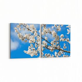 Olla 10928K2Y Ağaç Görseli Kare 2 Parça Yatay 65x30 cm Kanvas Tablo
