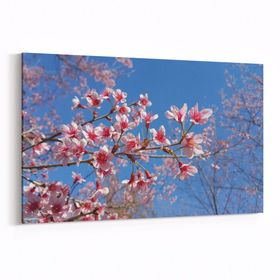 Olla 10929Y Ağaç Görseli Yatay 30x20 cm Kanvas Tablo