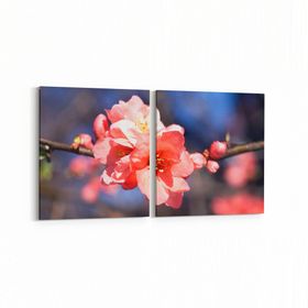 Olla 10930K2Y Ağaç Görseli Kare 2 Parça Yatay 65x30 cm Kanvas Tablo