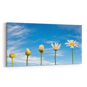 Olla 10935YD Ağaç Görseli Yatay Dar 60x30 cm Kanvas Tablo