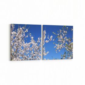 Olla 10937K2Y Ağaç Görseli Kare 2 Parça Yatay 65x30 cm Kanvas Tablo