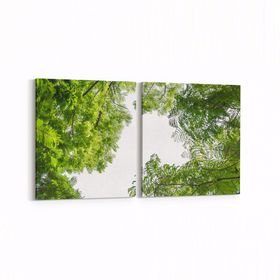 Olla 10938K2Y Ağaç Görseli Kare 2 Parça Yatay 65x30 cm Kanvas Tablo