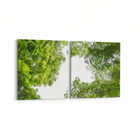 Olla 10938K2Y Ağaç Görseli Kare 2 Parça Yatay 65x30 cm Kanvas Tablo