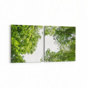 Olla 10938K2Y Ağaç Görseli Kare 2 Parça Yatay 65x30 cm Kanvas Tablo