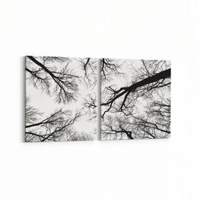 Olla 10943K2Y Ağaç Görseli Kare 2 Parça Yatay 65x30 cm Kanvas Tablo