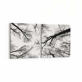 Olla 10943K2Y Ağaç Görseli Kare 2 Parça Yatay 65x30 cm Kanvas Tablo
