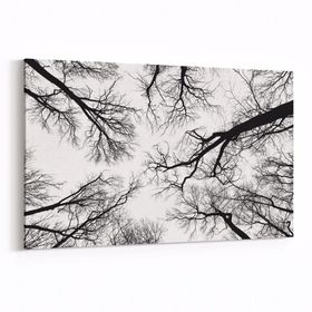 Olla 10943Y Ağaç Görseli Yatay 30x20 cm Kanvas Tablo