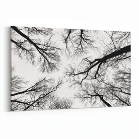 Olla 10943Y Ağaç Görseli Yatay 30x20 cm Kanvas Tablo