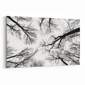 Olla 10943Y Ağaç Görseli Yatay 30x20 cm Kanvas Tablo
