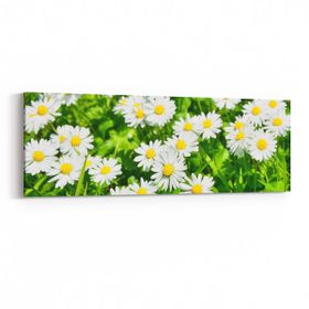 Olla 10945YI Ağaç Görseli Yatay İnce 90x30 cm Kanvas Tablo
