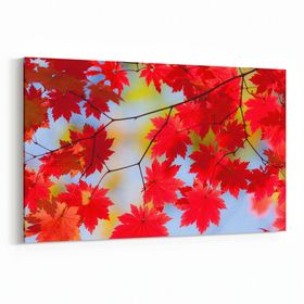 Olla 10951Y Ağaç Görseli Yatay 30x20 cm Kanvas Tablo