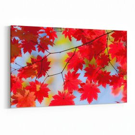 Olla 10951Y Ağaç Görseli Yatay 30x20 cm Kanvas Tablo