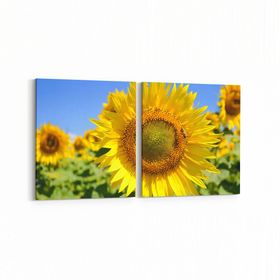 Olla 10952K2Y Ağaç Görseli Kare 2 Parça Yatay 65x30 cm Kanvas Tablo