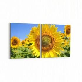 Olla 10952K2Y Ağaç Görseli Kare 2 Parça Yatay 65x30 cm Kanvas Tablo