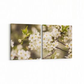 Olla 10955K2Y Ağaç Görseli Kare 2 Parça Yatay 65x30 cm Kanvas Tablo