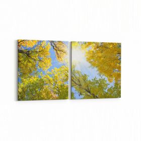 Olla 10963K2Y Ağaç Görseli Kare 2 Parça Yatay 65x30 cm Kanvas Tablo