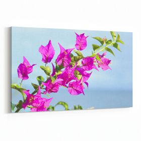 Olla 10970Y Ağaç Görseli Yatay 30x20 cm Kanvas Tablo