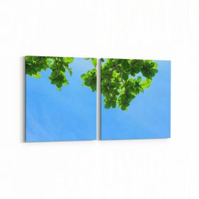 Olla 10971K2Y Ağaç Görseli Kare 2 Parça Yatay 65x30 cm Kanvas Tablo