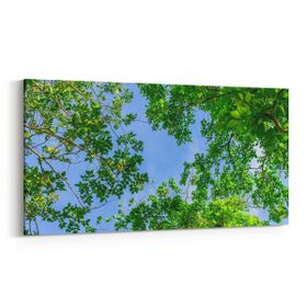 Olla 10972YD Ağaç Görseli Yatay Dar 60x30 cm Kanvas Tablo