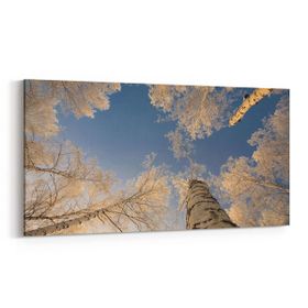 Olla 10977YD Ağaç Görseli Yatay Dar 60x30 cm Kanvas Tablo