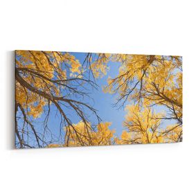 Olla 10981YD Ağaç Görseli Yatay Dar 60x30 cm Kanvas Tablo