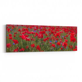 Olla 10986YI Ağaç Görseli Yatay İnce 90x30 cm Kanvas Tablo