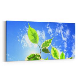 Olla 10988YD Ağaç Görseli Yatay Dar 60x30 cm Kanvas Tablo