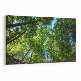 Olla 10991Y Ağaç Görseli Yatay 30x20 cm Kanvas Tablo