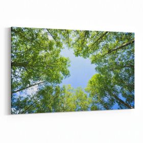 Olla 10993Y Ağaç Görseli Yatay 30x20 cm Kanvas Tablo