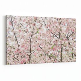 Olla 10994Y Ağaç Görseli Yatay 30x20 cm Kanvas Tablo
