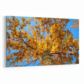 Olla 11015Y Ağaç Görseli Yatay 30x20 cm Kanvas Tablo