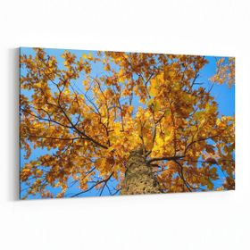Olla 11015Y Ağaç Görseli Yatay 30x20 cm Kanvas Tablo