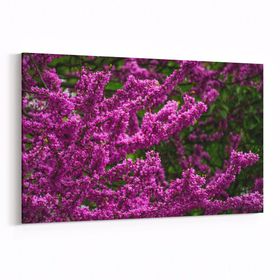 Olla 11018Y Ağaç Görseli Yatay 30x20 cm Kanvas Tablo