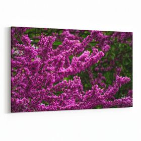 Olla 11018Y Ağaç Görseli Yatay 30x20 cm Kanvas Tablo