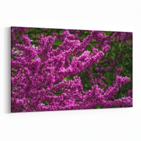 Olla 11018Y Ağaç Görseli Yatay 30x20 cm Kanvas Tablo