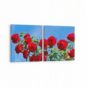 Olla 11020K2Y Ağaç Görseli Kare 2 Parça Yatay 65x30 cm Kanvas Tablo
