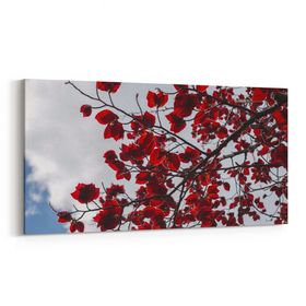 Olla 11021YD Ağaç Görseli Yatay Dar 60x30 cm Kanvas Tablo