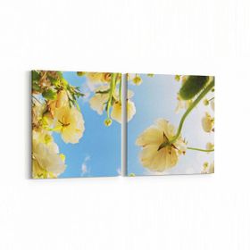Olla 11028K2Y Ağaç Görseli Kare 2 Parça Yatay 65x30 cm Kanvas Tablo