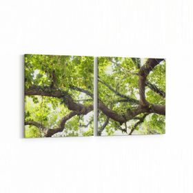 Olla 11031K2Y Ağaç Görseli Kare 2 Parça Yatay 65x30 cm Kanvas Tablo