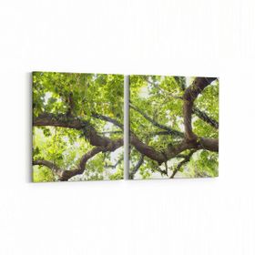 Olla 11031K2Y Ağaç Görseli Kare 2 Parça Yatay 65x30 cm Kanvas Tablo