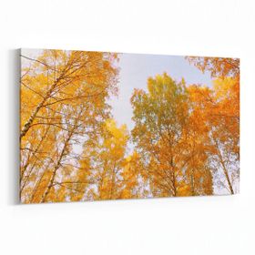 Olla 11035Y Ağaç Görseli Yatay 30x20 cm Kanvas Tablo